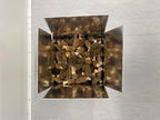 Morilles fraîches (Récolte de printemps)
