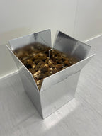 Morilles fraîches (Récolte de printemps)